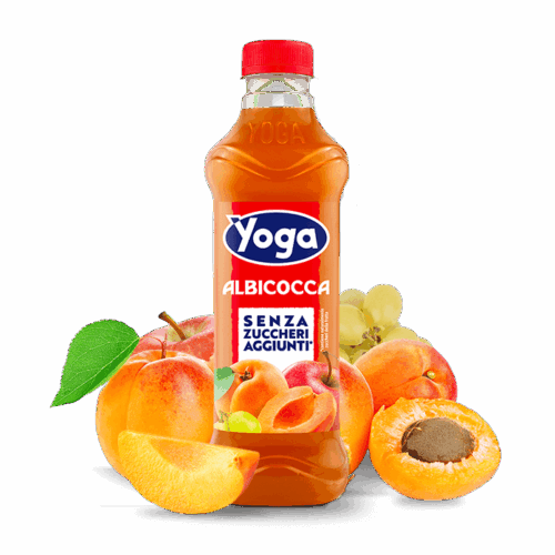 Yoga Succo Albicocca Lt. 1