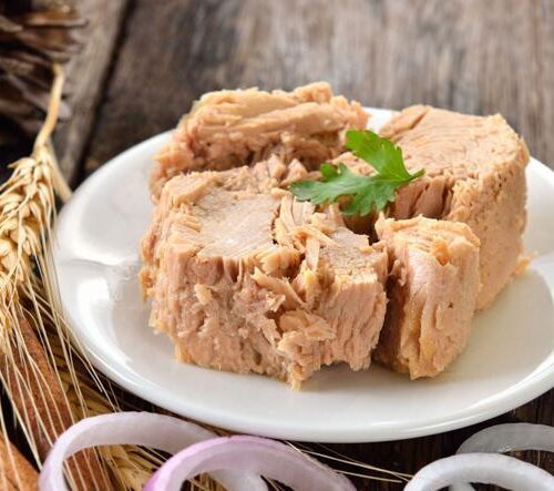 ATÚN CONSERVAS DE PESCADO Y CARNE