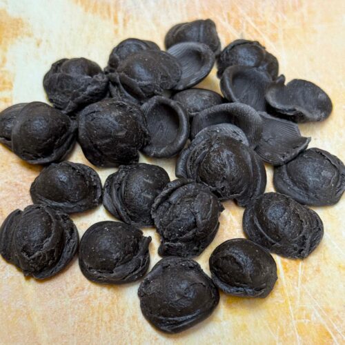 Orecchiette Nero Seppia